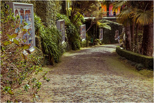 funchal_monte02