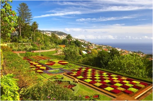 funchal_monte12