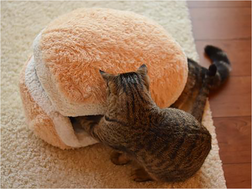 macaron_bed_for_cat04
