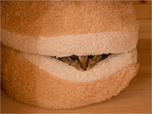 macaron_bed_for_cat05