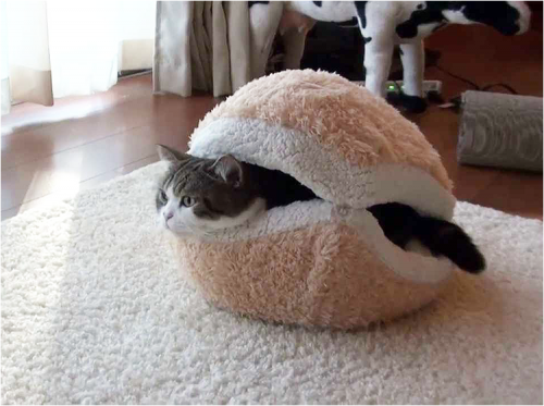 macaron_bed_for_cat06