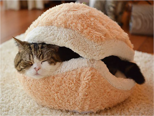 macaron_bed_for_cat08