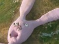 Italia artesina huge pink rabit